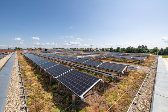 Les modules photovoltaïques installés sur le toit vert contribuent à l'approvisionnement en énergie écologique du centre scolaire.